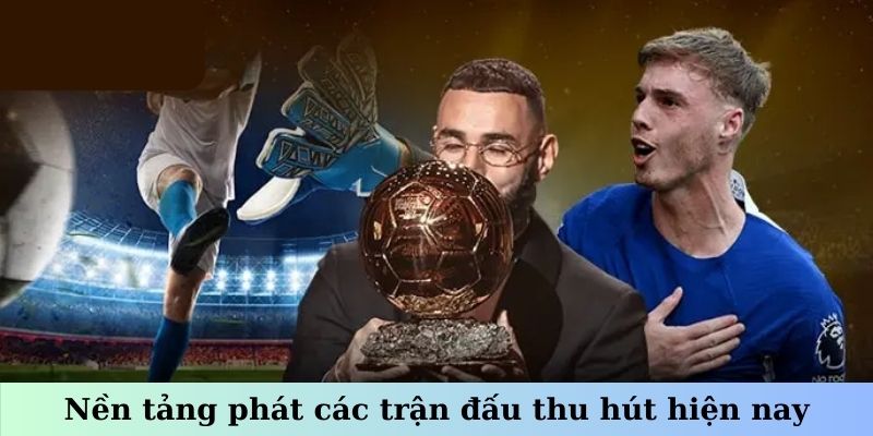 Luongsontv - Giải Trí Không Giới Hạn, Chọn Trận Đấu Yêu Thích 7 Nền tảng phát các trận đấu thu hút hiện nay