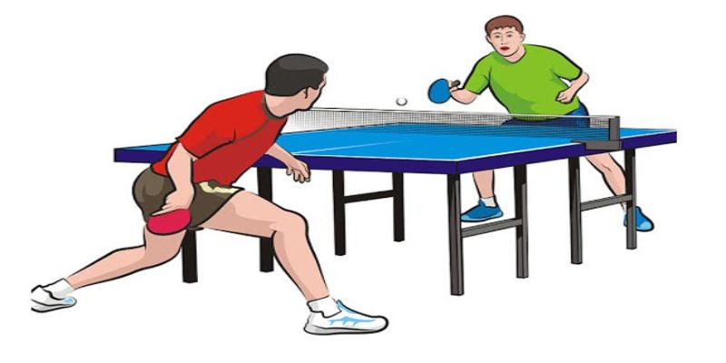 Tổng quan về môn bóng bàn đơn